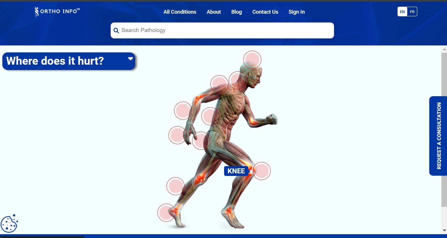 ORTHOINFO
